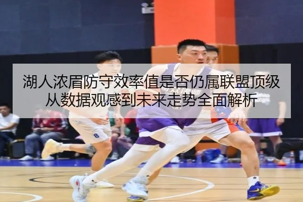湖人浓眉防守效率值是否仍属联盟顶级从数据观感到未来走势全面解析